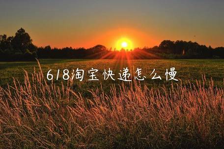 618淘寶快遞怎么慢